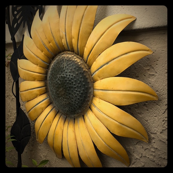 Meet your Posher, Suzi - Picture 1 of 1